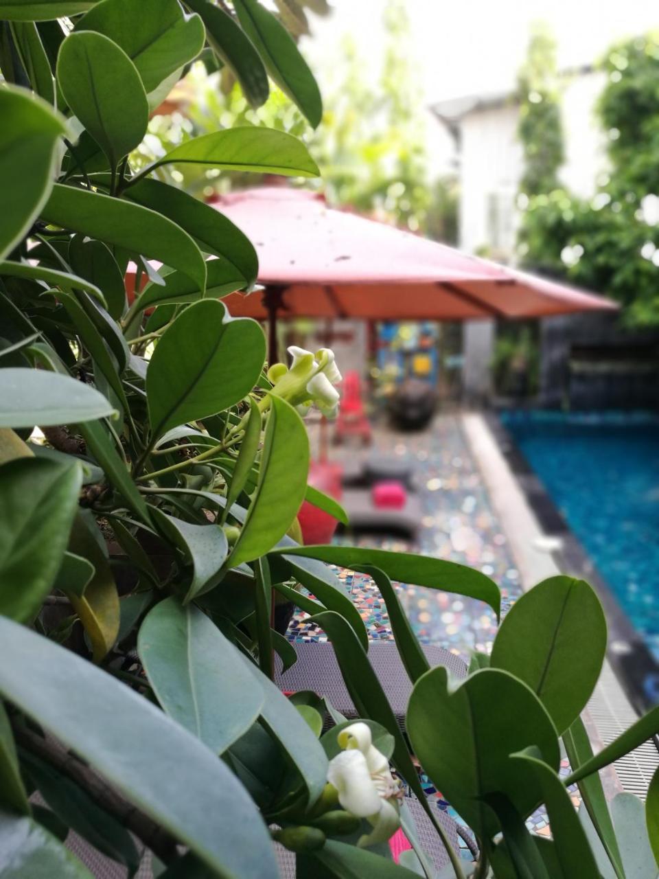 Thapae Inn 3*